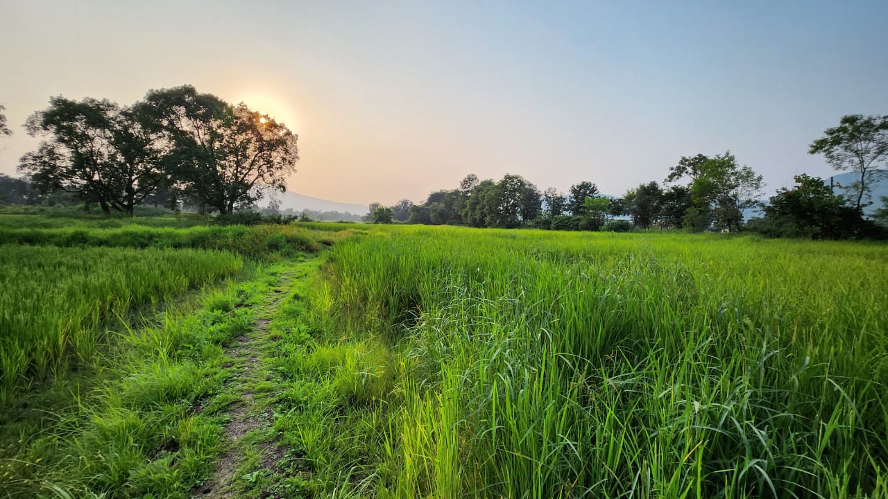 Mountain & waterfall view 1 Acre agriculture land for sale near Raddison Blu Resort 10km from Karjat.