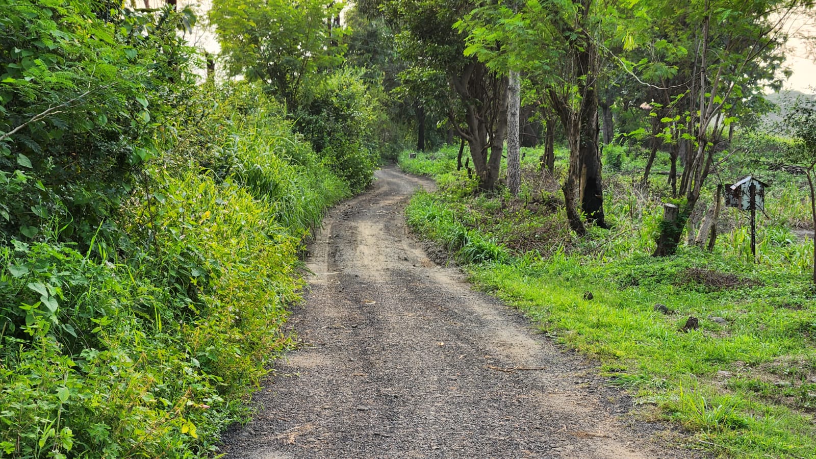 Mountain & waterfall view 1 Acre agriculture land for sale near Raddison Blu Resort 10km from Karjat.