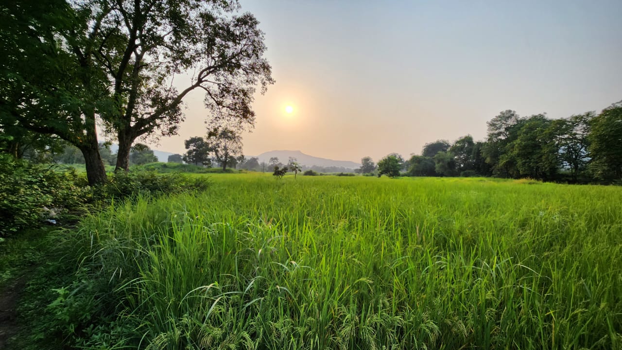 Mountain & waterfall view 1 Acre agriculture land for sale near Raddison Blu Resort 10km from Karjat.