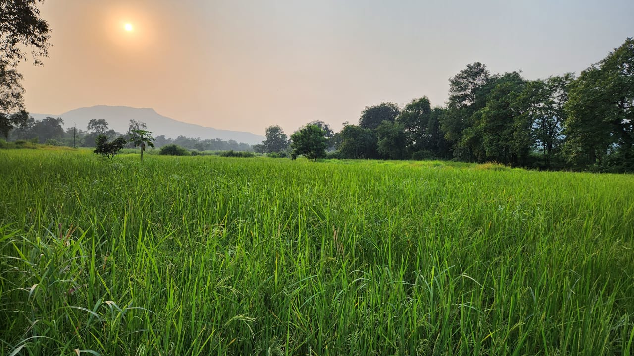 Mountain & waterfall view 1 Acre agriculture land for sale near Raddison Blu Resort 10km from Karjat.