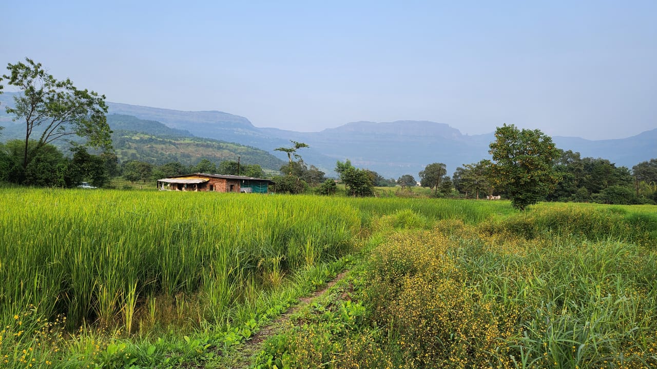 Mountain & waterfall view 1 Acre agriculture land for sale near Raddison Blu Resort 10km from Karjat.