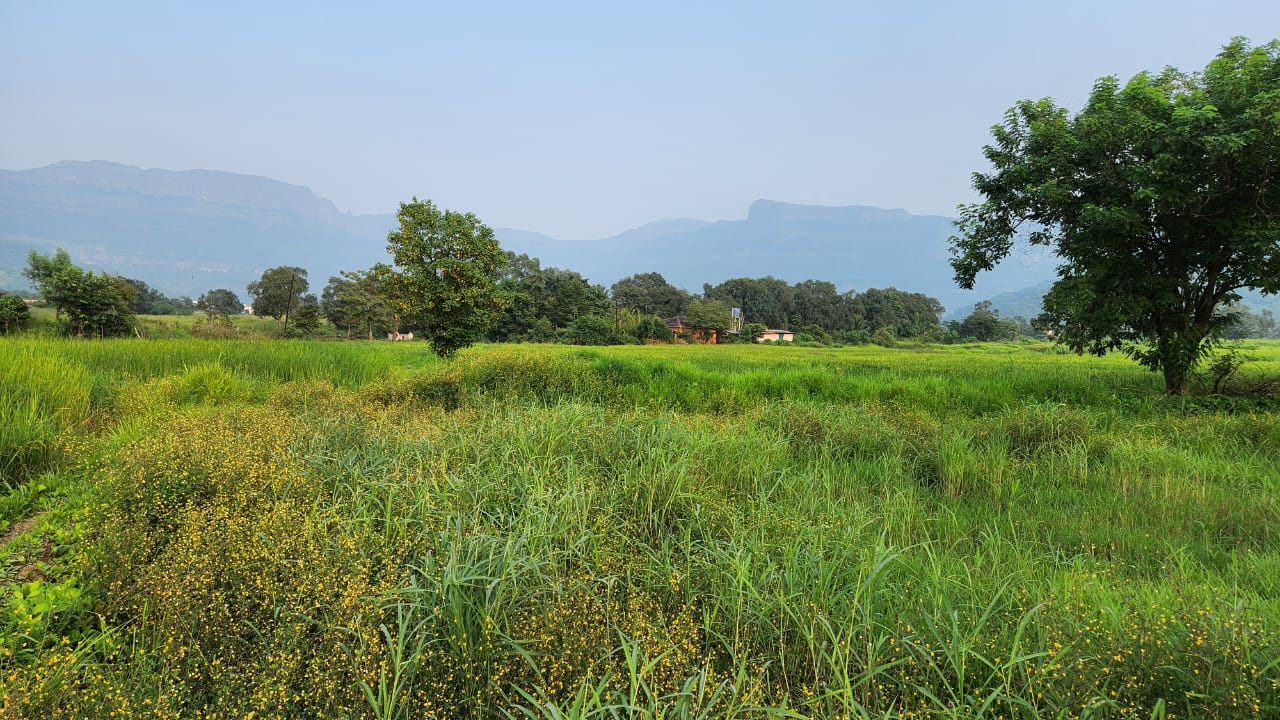 Mountain & waterfall view 1 Acre agriculture land for sale near Raddison Blu Resort 10km from Karjat.