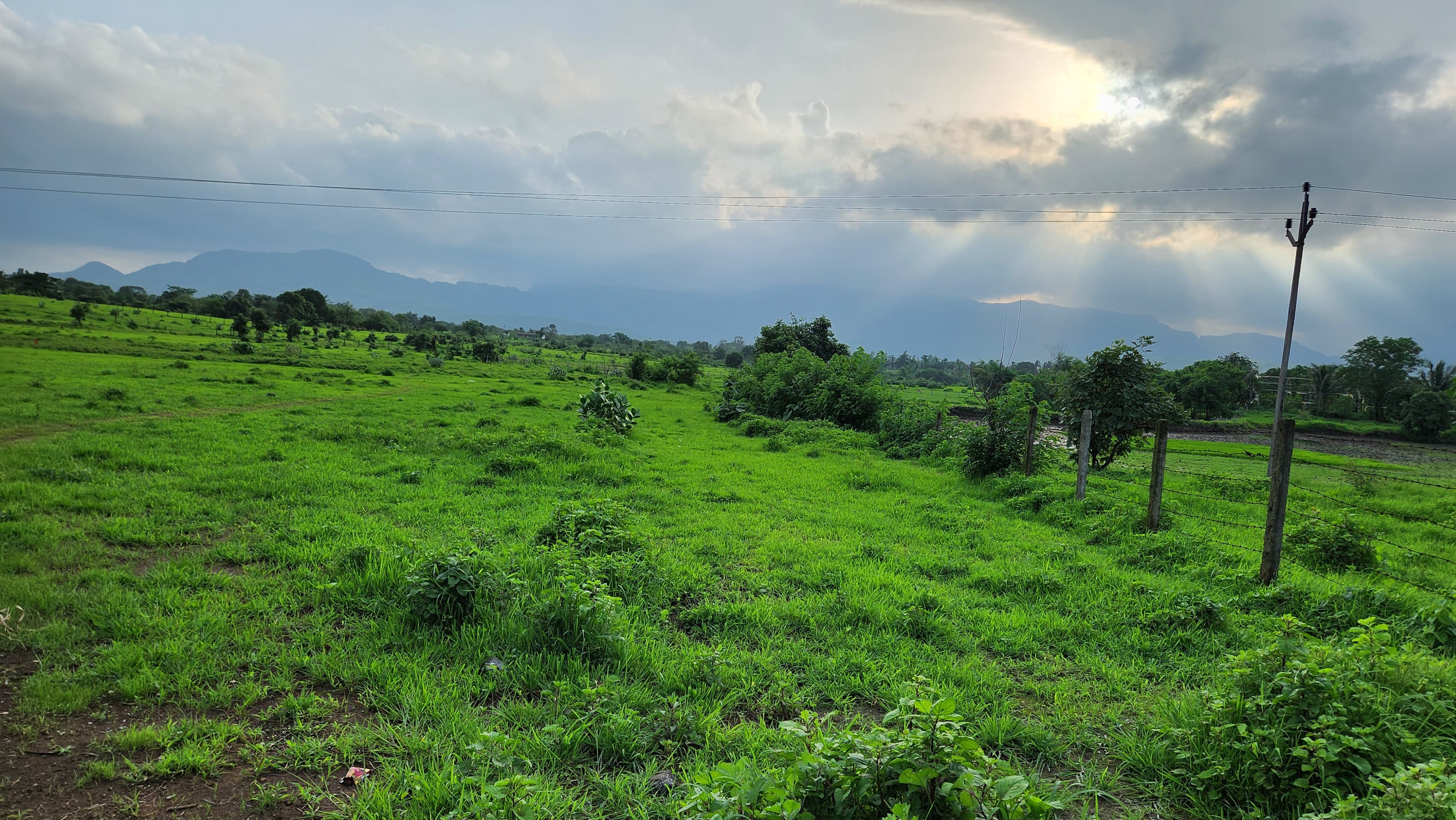 10 Acre + agriculture land for sale 10 Km from Karjat.