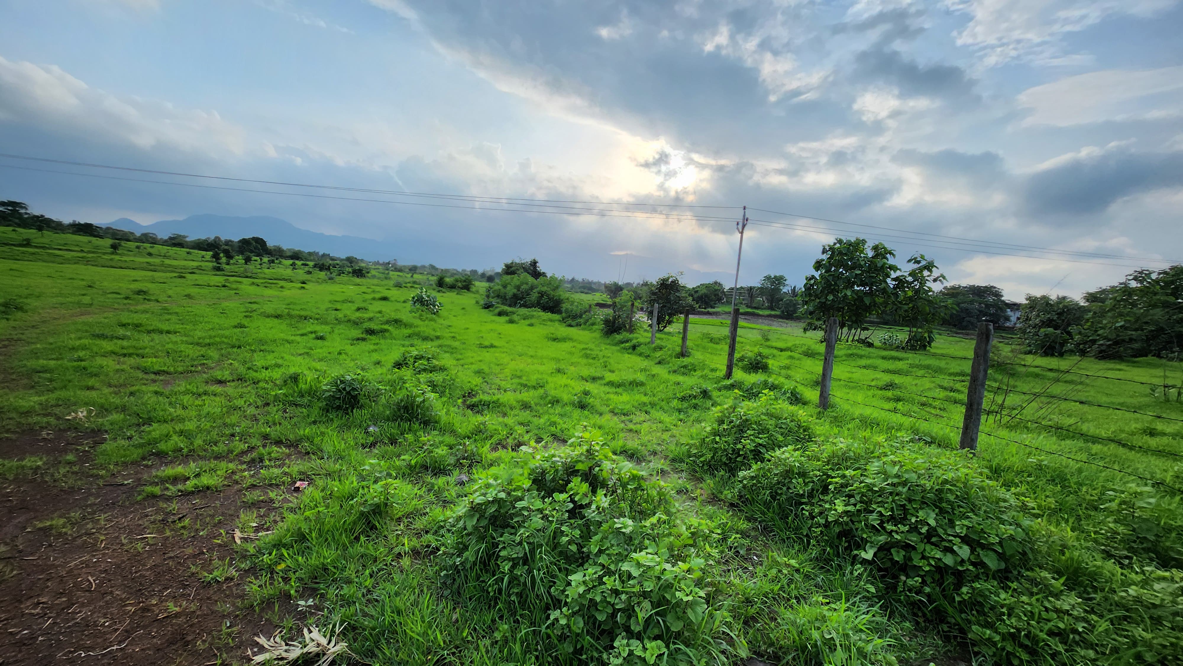 10 Acre + agriculture land for sale 10 Km from Karjat.