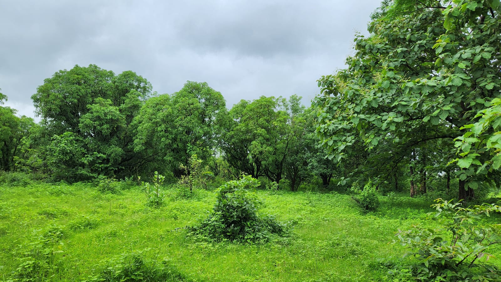 16 Acre agriculture land for sale 10 Km from Karjat.
