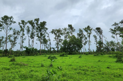 16 Acre agriculture land for sale 10 Km from Karjat.