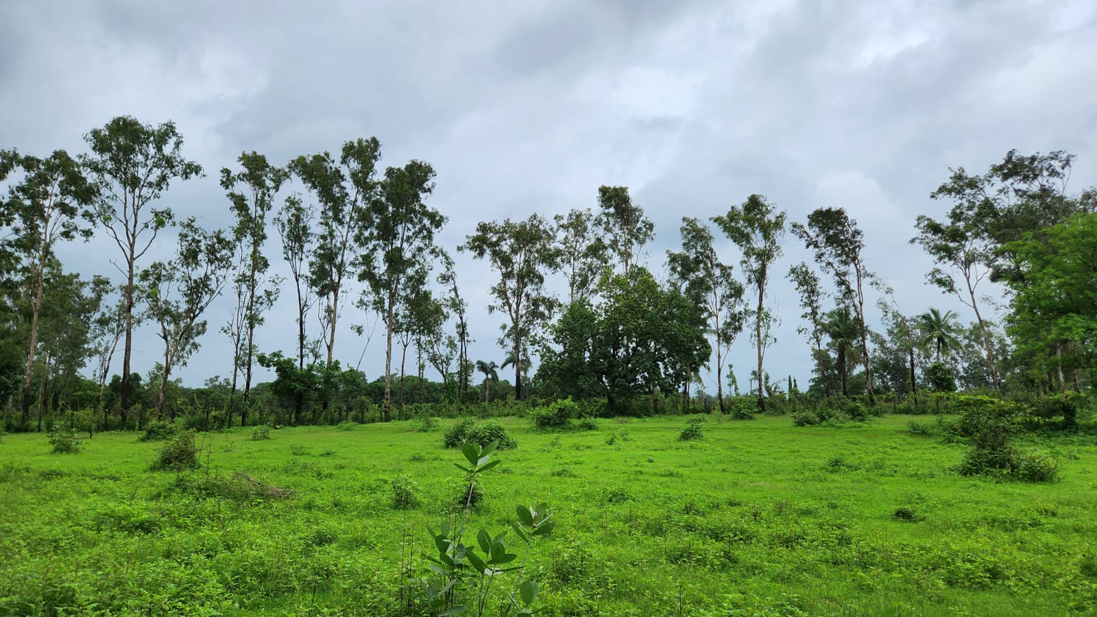 16 Acre agriculture land for sale 10 Km from Karjat.
