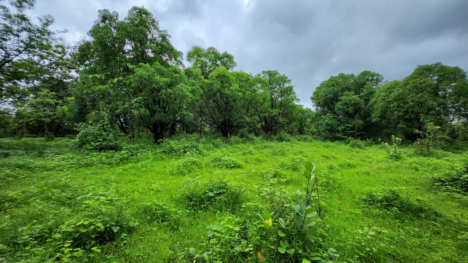 16 Acre agriculture land for sale 10 Km from Karjat.