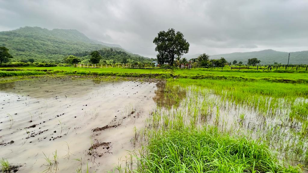 Waterfall, Mountain, Forest & Fog View 2 acre land for sale in Karjat.