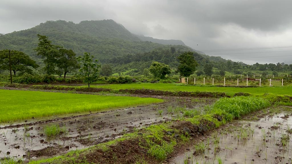 Waterfall, Mountain, Forest & Fog View 2 acre land for sale in Karjat.