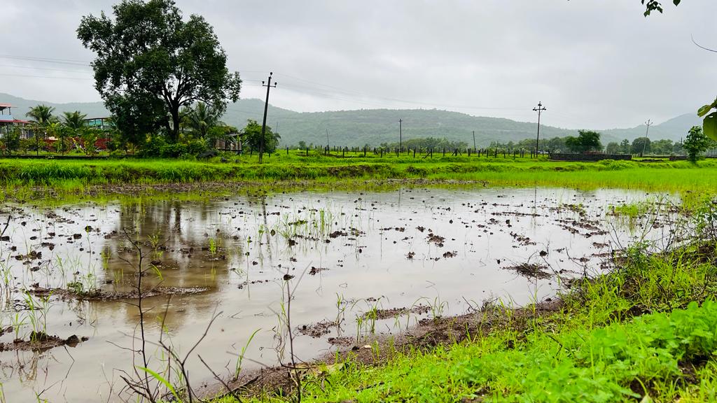 Waterfall, Mountain, Forest & Fog View 2 acre land for sale in Karjat.