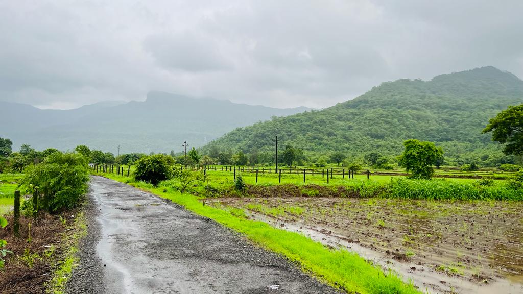 Waterfall, Mountain, Forest & Fog View 2 acre land for sale in Karjat.