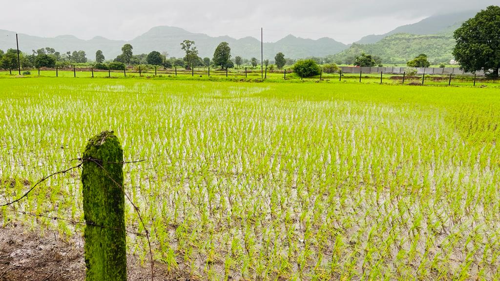 Waterfall, Mountain, Forest & Fog View 2 acre land for sale in Karjat.