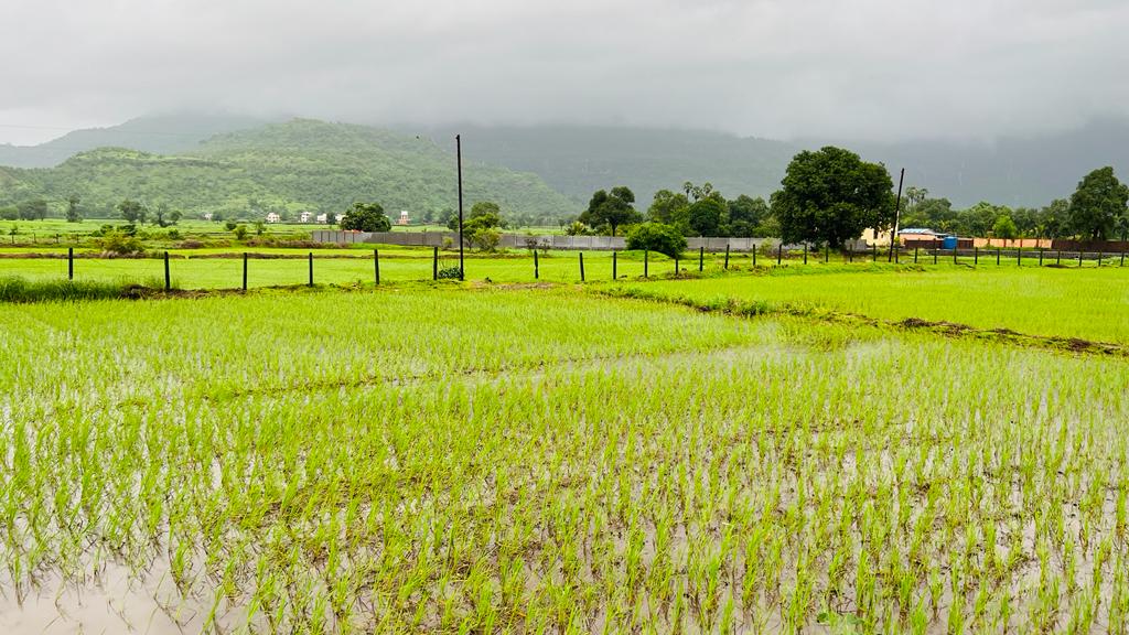 Waterfall, Mountain, Forest & Fog View 2 acre land for sale in Karjat.