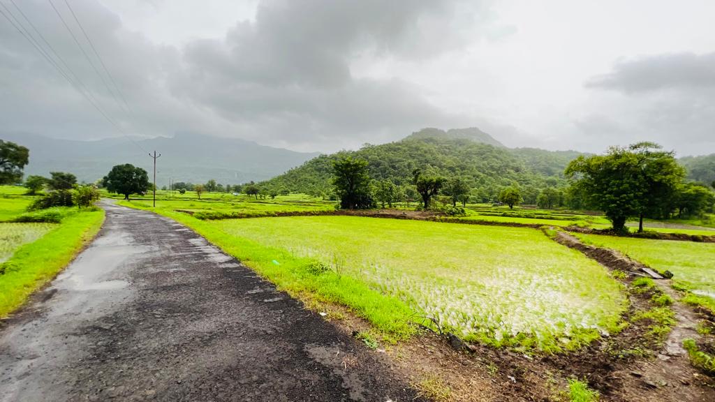 Waterfall, Mountain, Forest & Fog View 2 acre land for sale in Karjat.