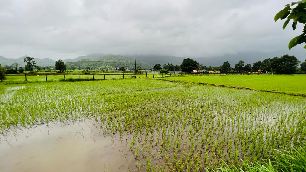 Waterfall, Mountain, Forest & Fog View 2 acre land for sale in Karjat.