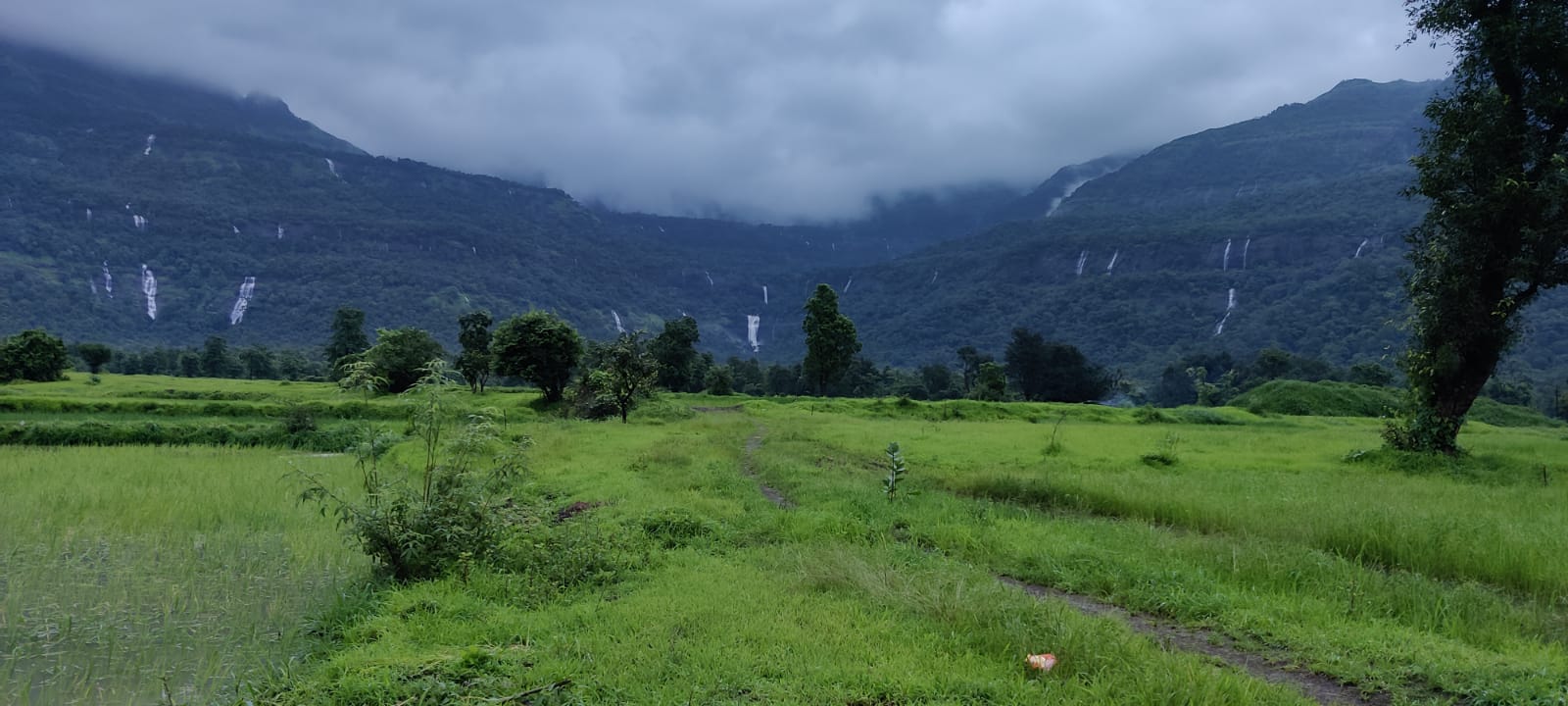 One of the best scenic location in Karjat. Picturesque view of waterfalls & forest.