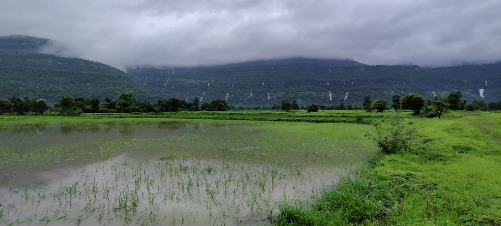 One of the best scenic location in Karjat. Picturesque view of waterfalls & forest.