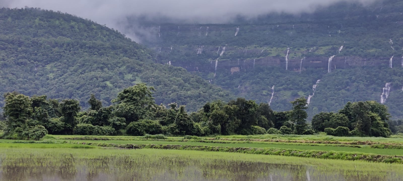 One of the best scenic location in Karjat. Picturesque view of waterfalls & forest.