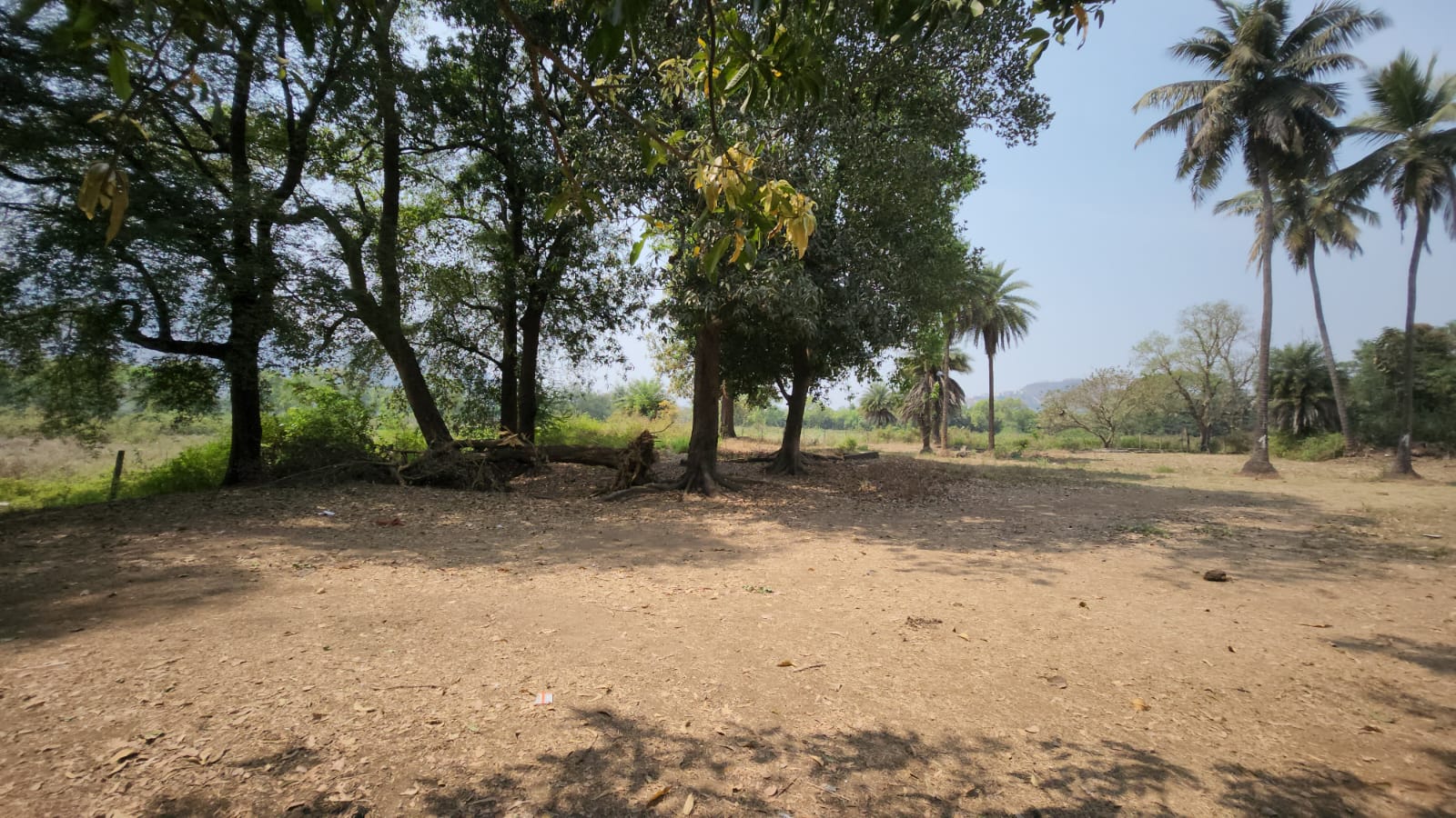 Lake, Mountain, Waterfall, Forest & Fog view Agriculture FarmLands for sale Just 4km from Karjat City.