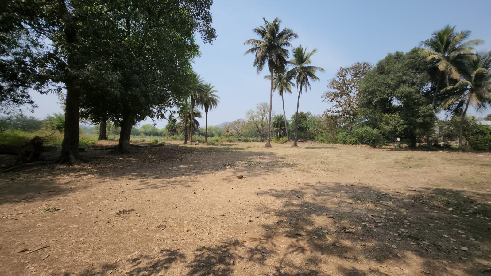 Lake, Mountain, Waterfall, Forest & Fog view Agriculture FarmLands for sale Just 4km from Karjat City.