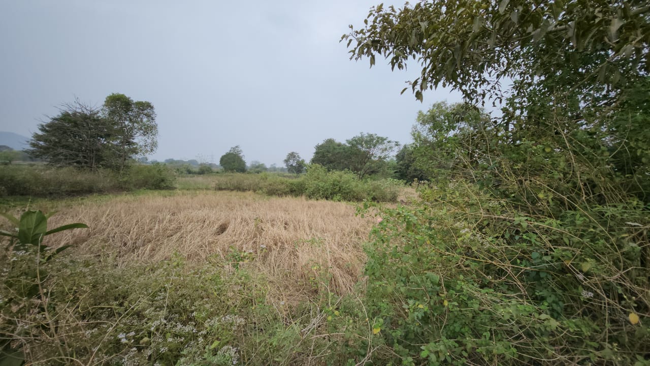 Canal touch 25 Guntha agriculture land for sale 15km from Karjat.