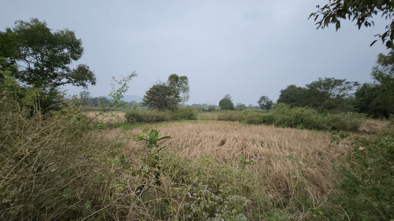 Canal touch 25 Guntha agriculture land for sale 15km from Karjat.