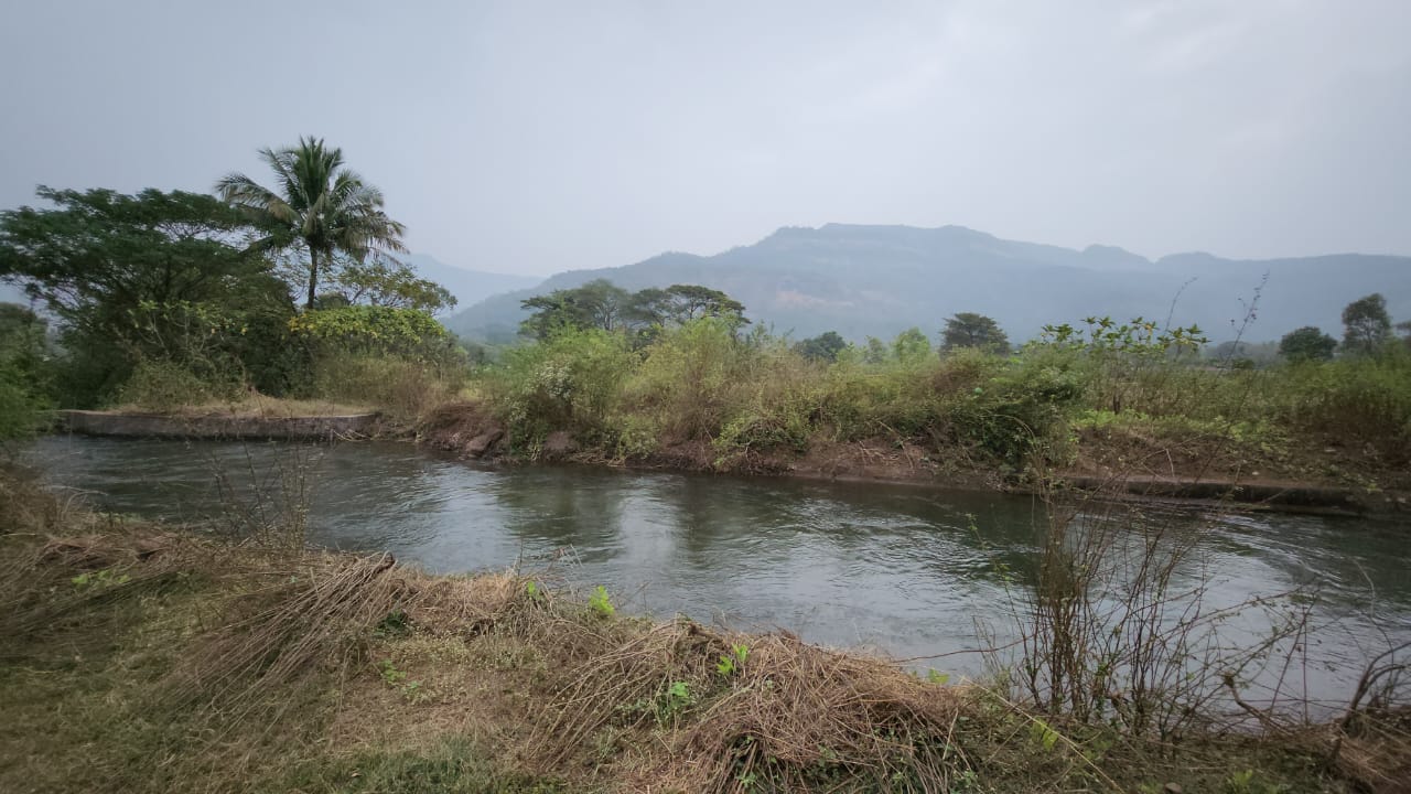 Canal touch 25 Guntha agriculture land for sale 15km from Karjat.