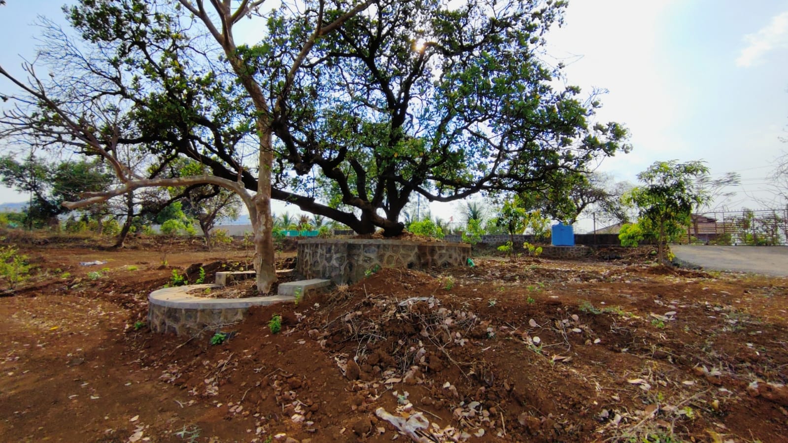 32 Gunthe Mountain View Farmhouse Land with trees for sale at village Bhaliwadi, Karjat.