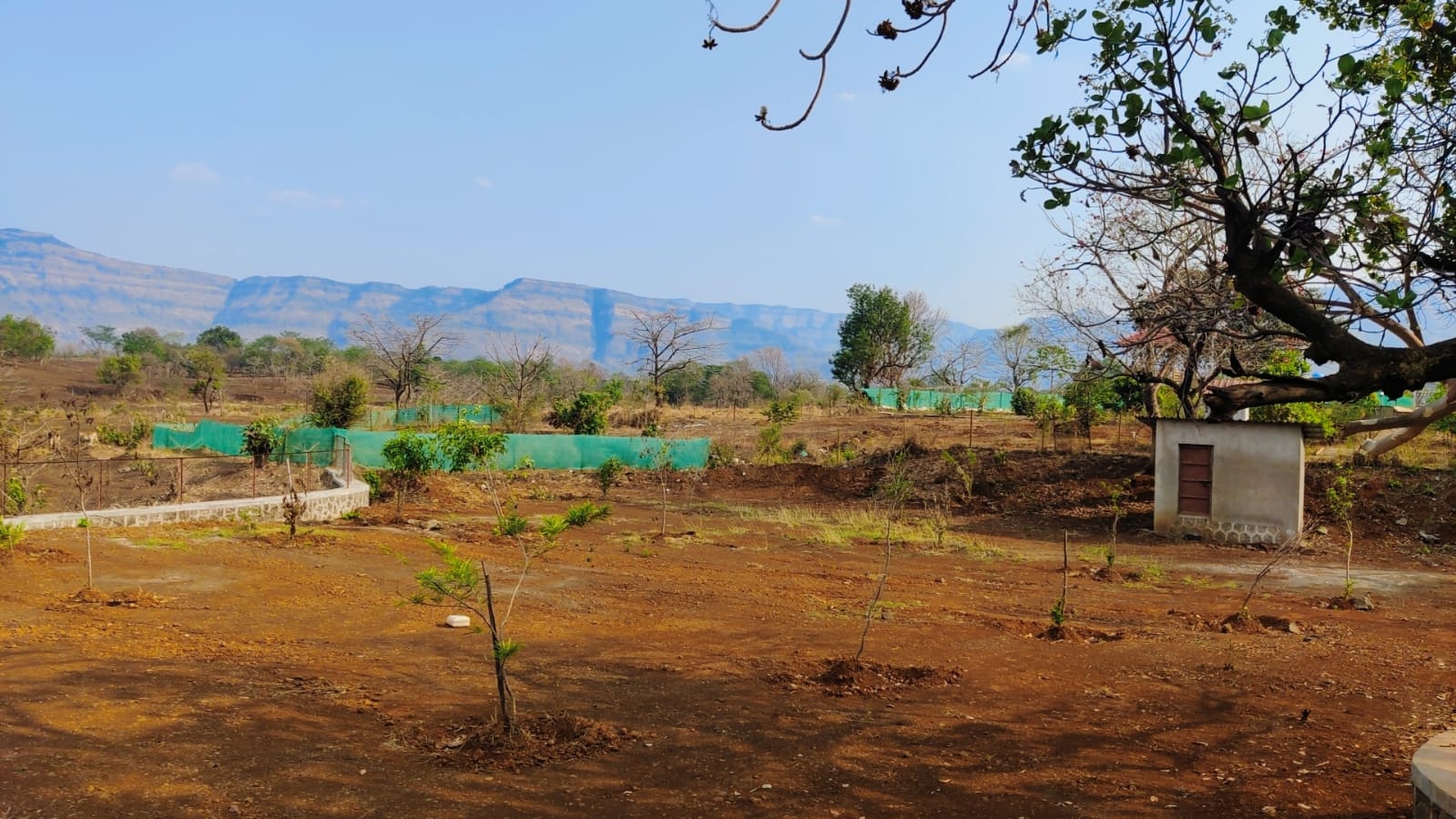 32 Gunthe Mountain View Farmhouse Land with trees for sale at village Bhaliwadi, Karjat.