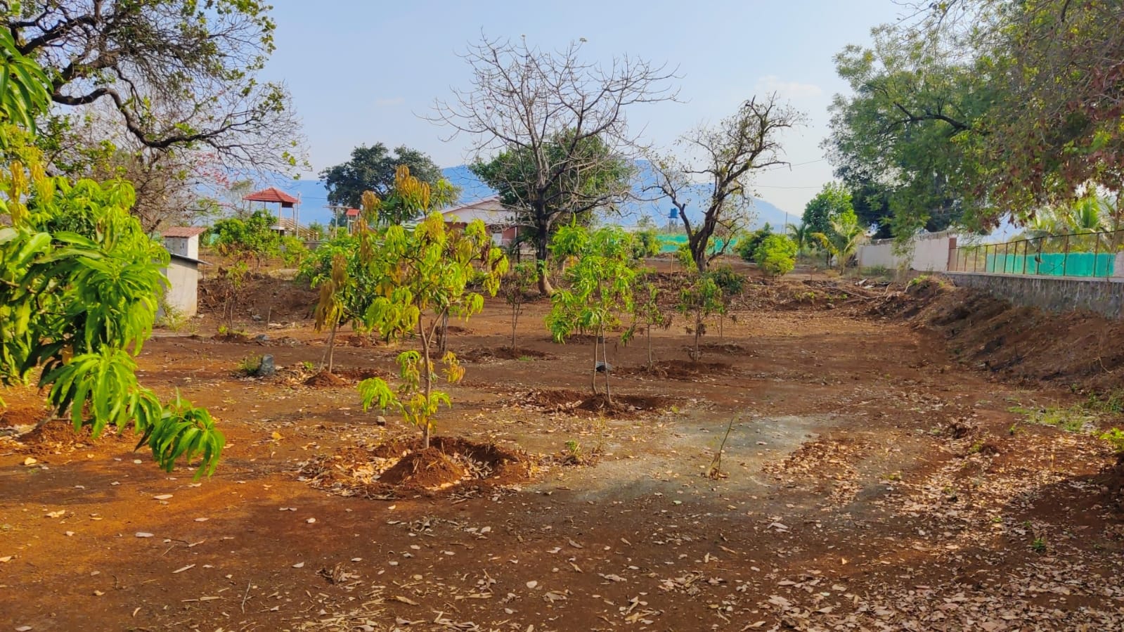 32 Gunthe Mountain View Farmhouse Land with trees for sale at village Bhaliwadi, Karjat.