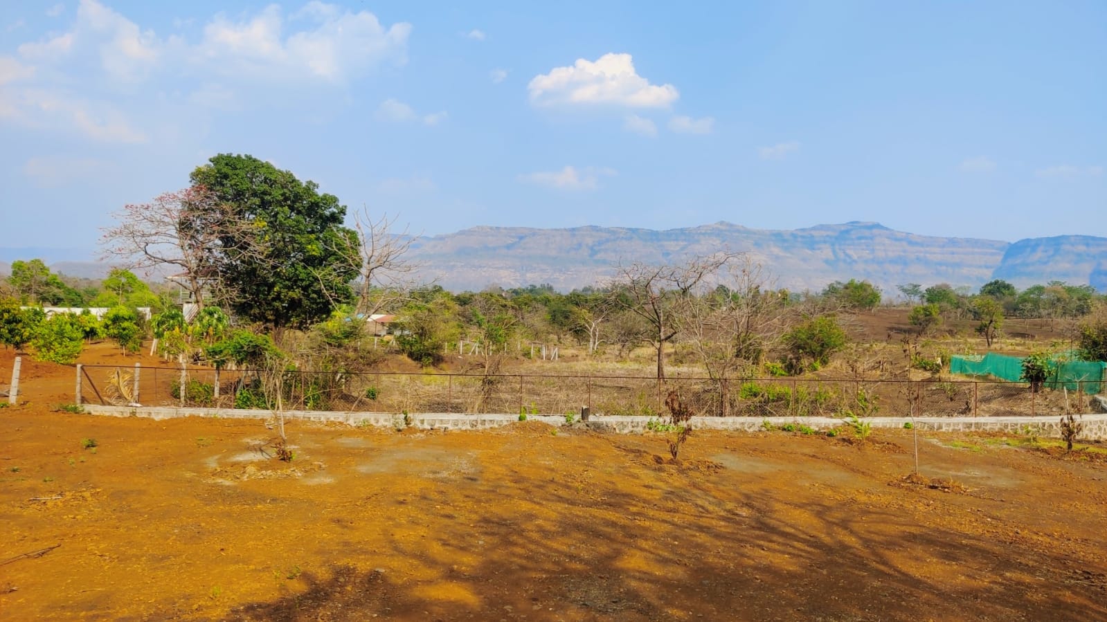 32 Gunthe Mountain View Farmhouse Land with trees for sale at village Bhaliwadi, Karjat.