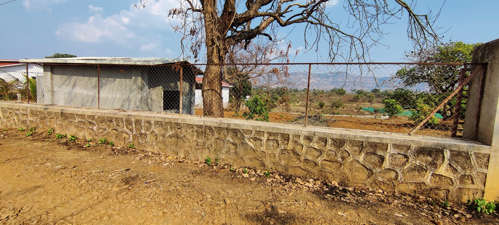 32 Gunthe Mountain View Farmhouse Land with trees for sale at village Bhaliwadi, Karjat.