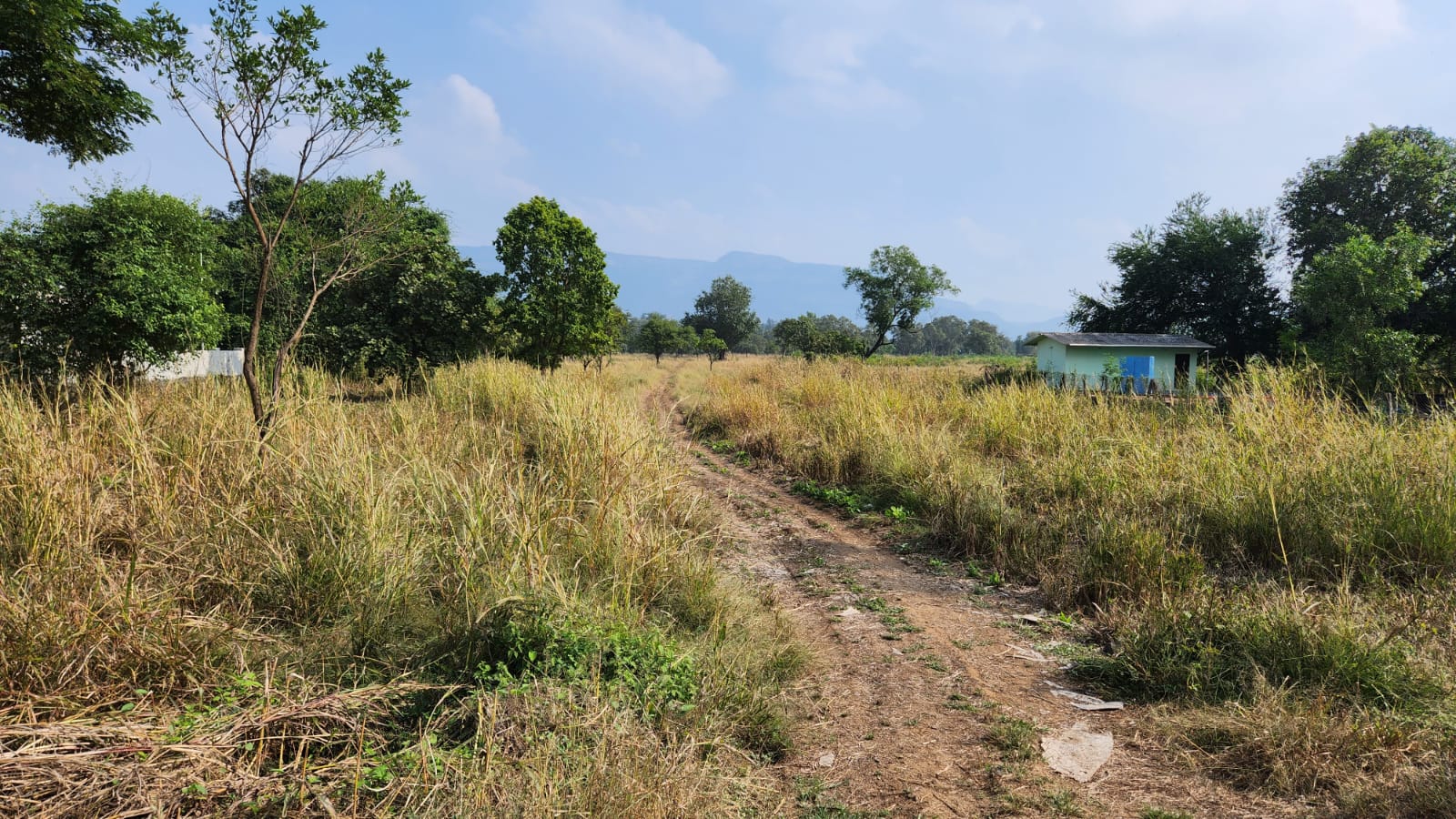 Karjat-Murbad Highway touch 4 acre land for sale 5 km from Karjat station.