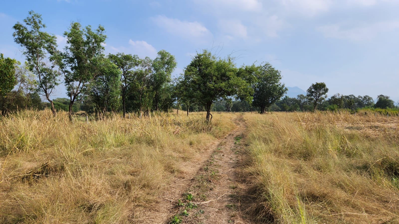 Karjat-Murbad Highway touch 4 acre land for sale 5 km from Karjat station.