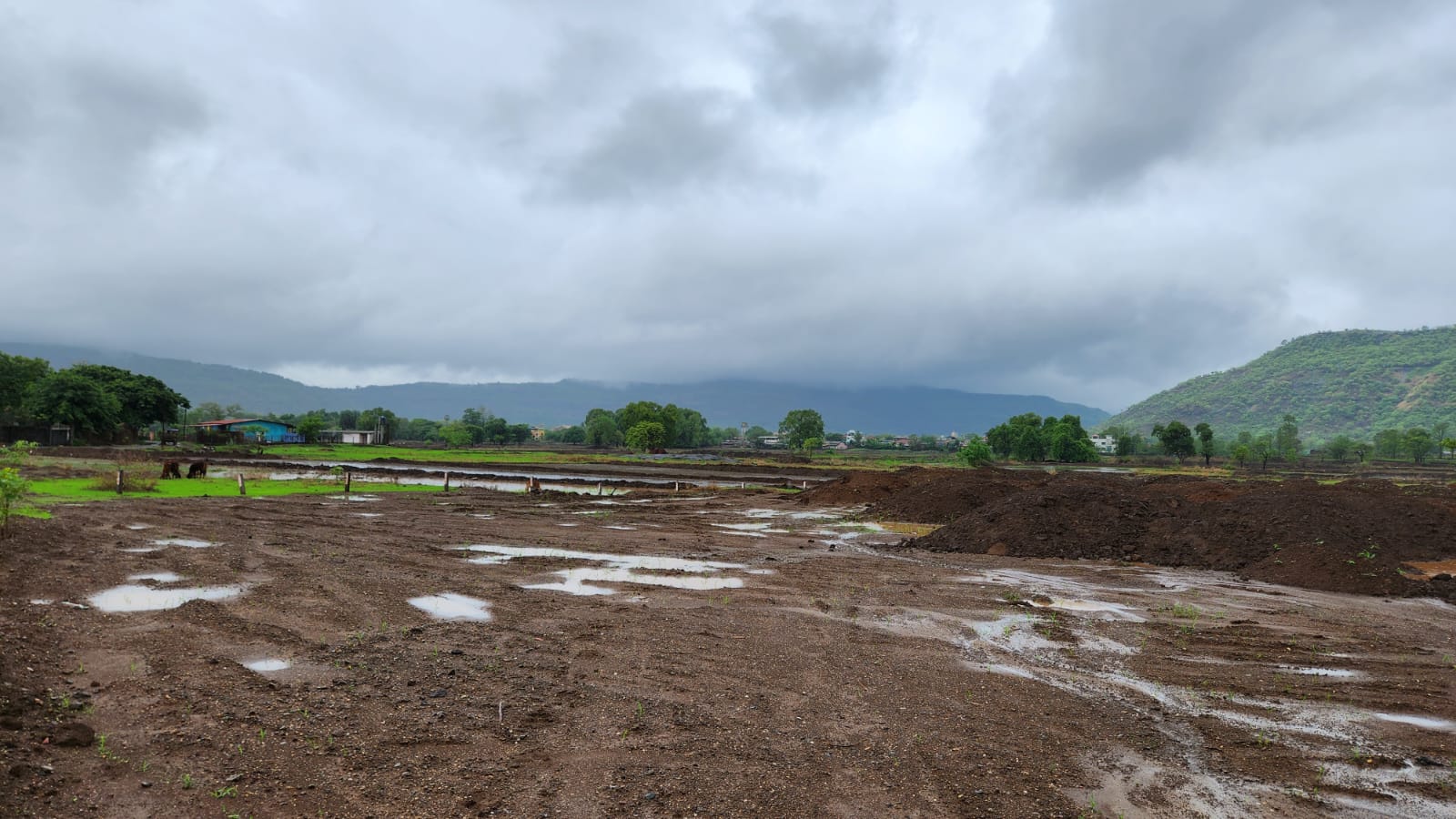5 Acre agriculture land for sale near Radisson Blu Resort, Karjat.