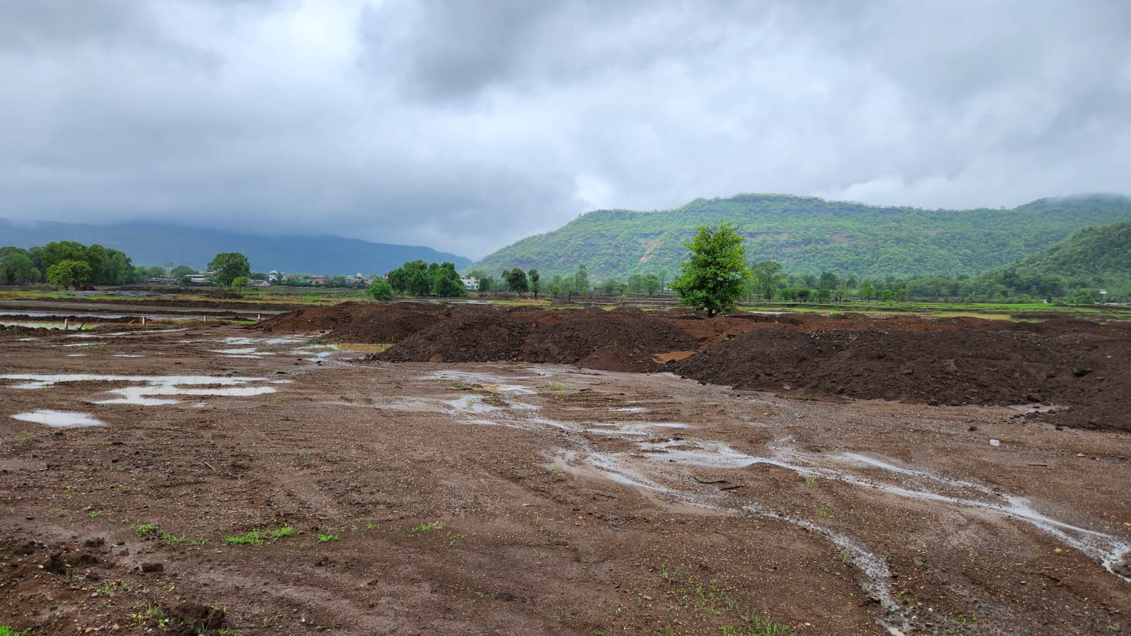 5 Acre agriculture land for sale near Radisson Blu Resort, Karjat.