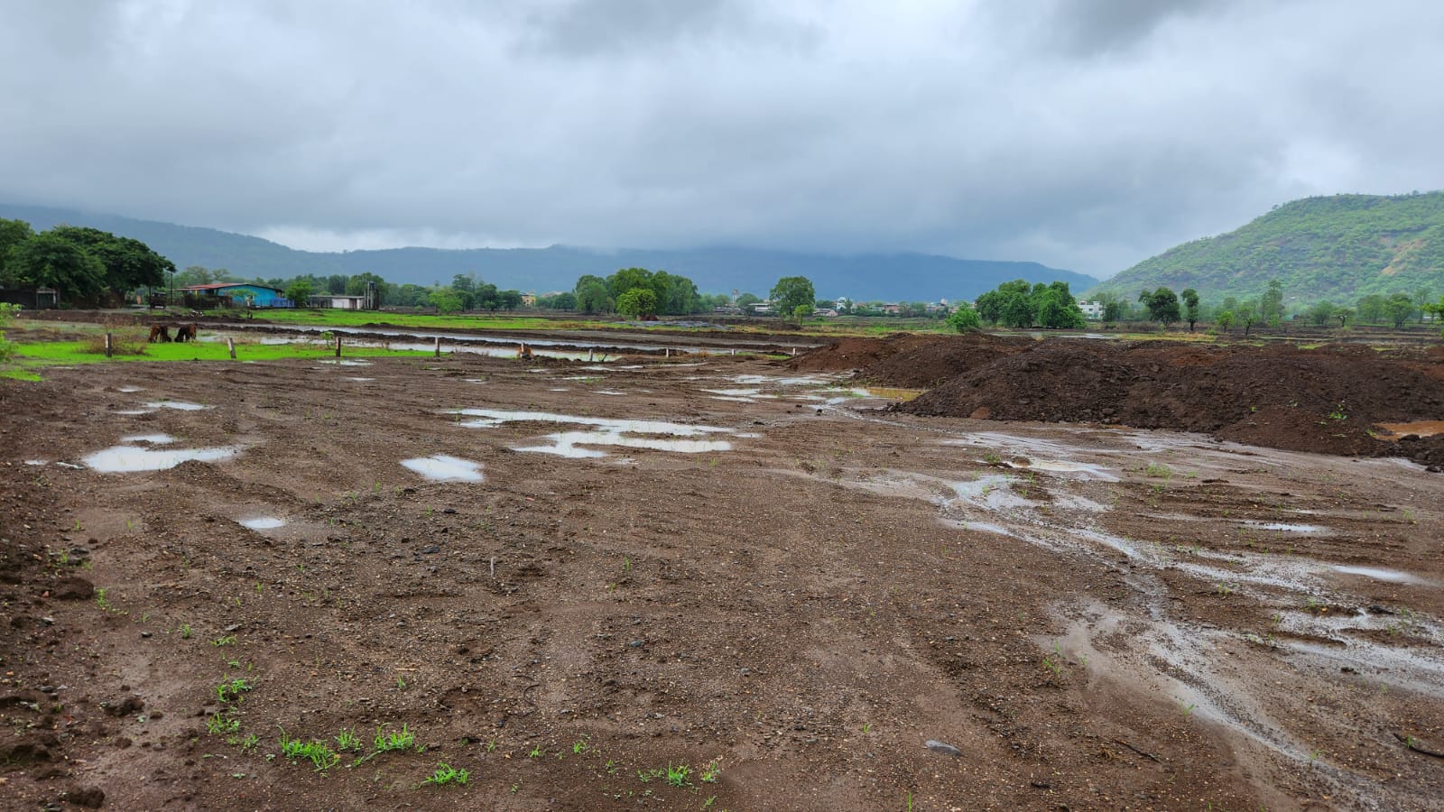 5 Acre agriculture land for sale near Radisson Blu Resort, Karjat.
