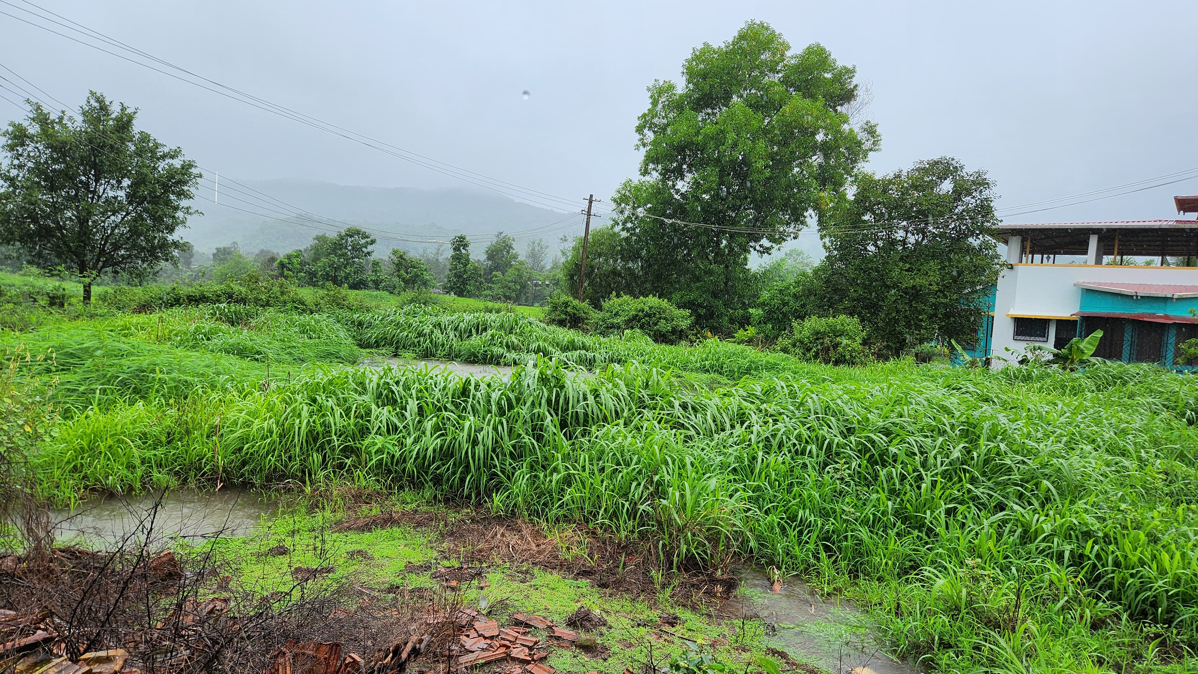 51 guntha agriculture land for sale 10 km from Karjat.