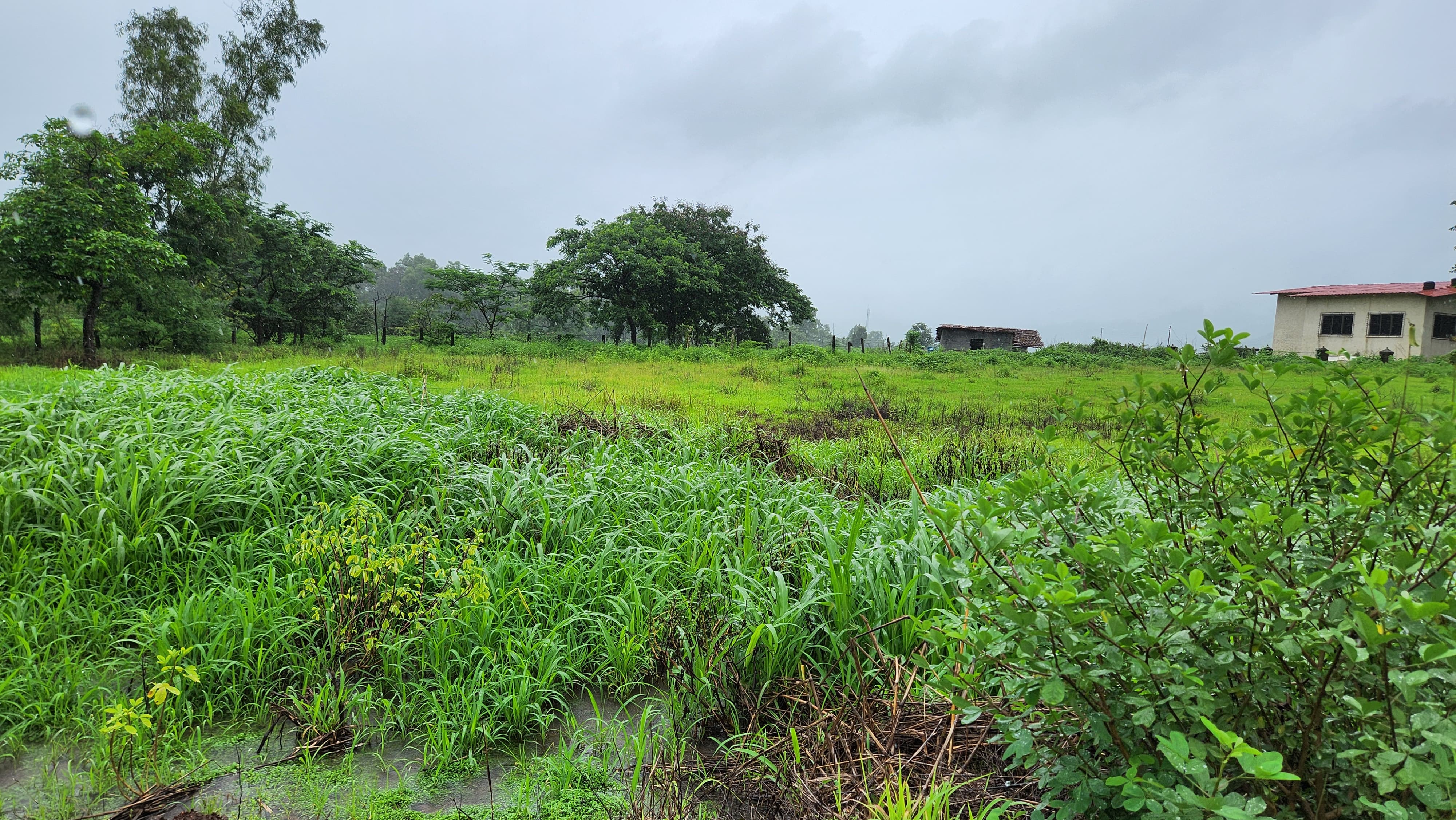 51 guntha agriculture land for sale 10 km from Karjat.