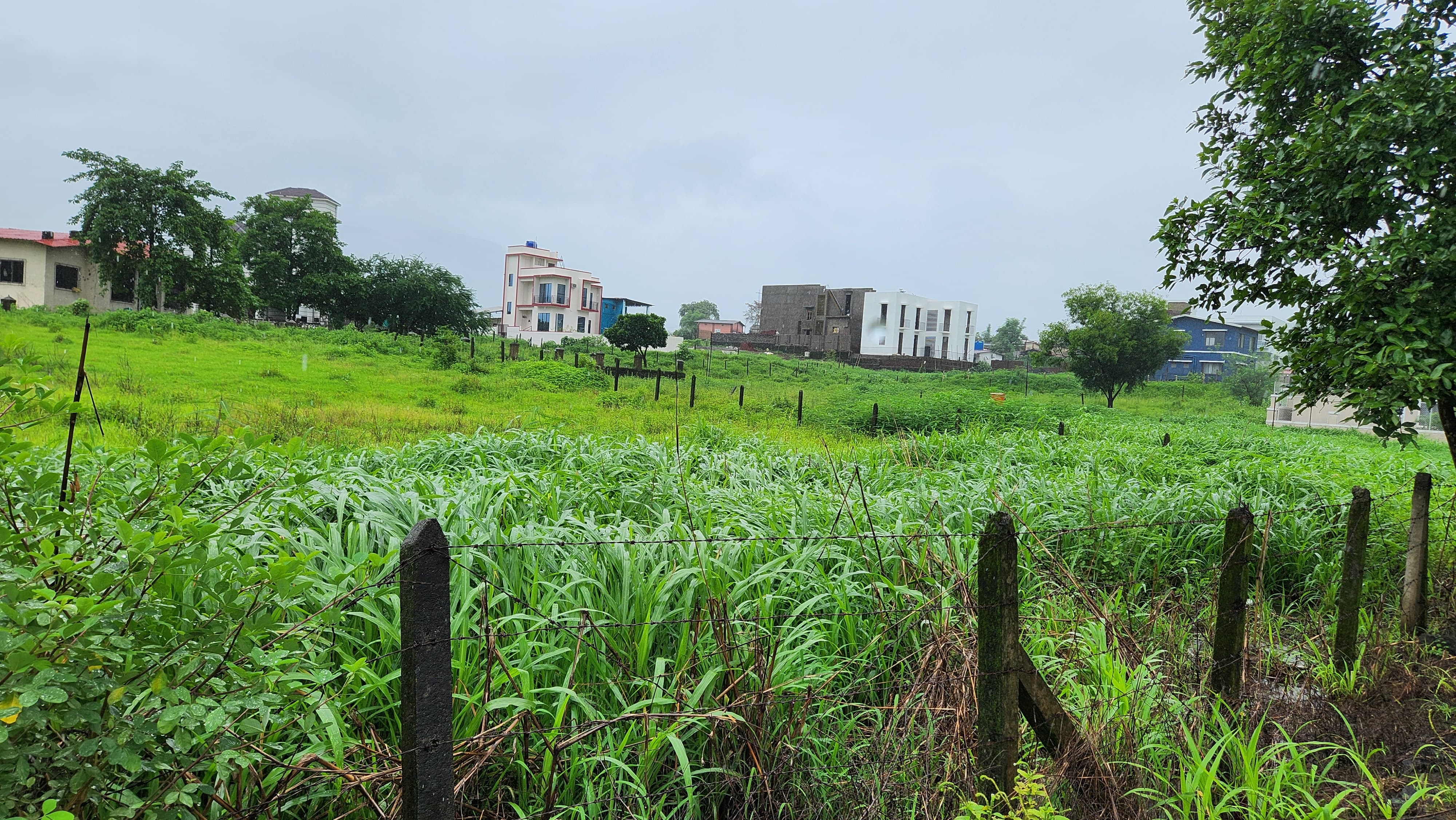 51 guntha agriculture land for sale 10 km from Karjat.