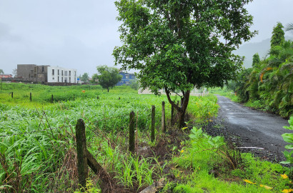 51 guntha agriculture land for sale 10 km from Karjat.