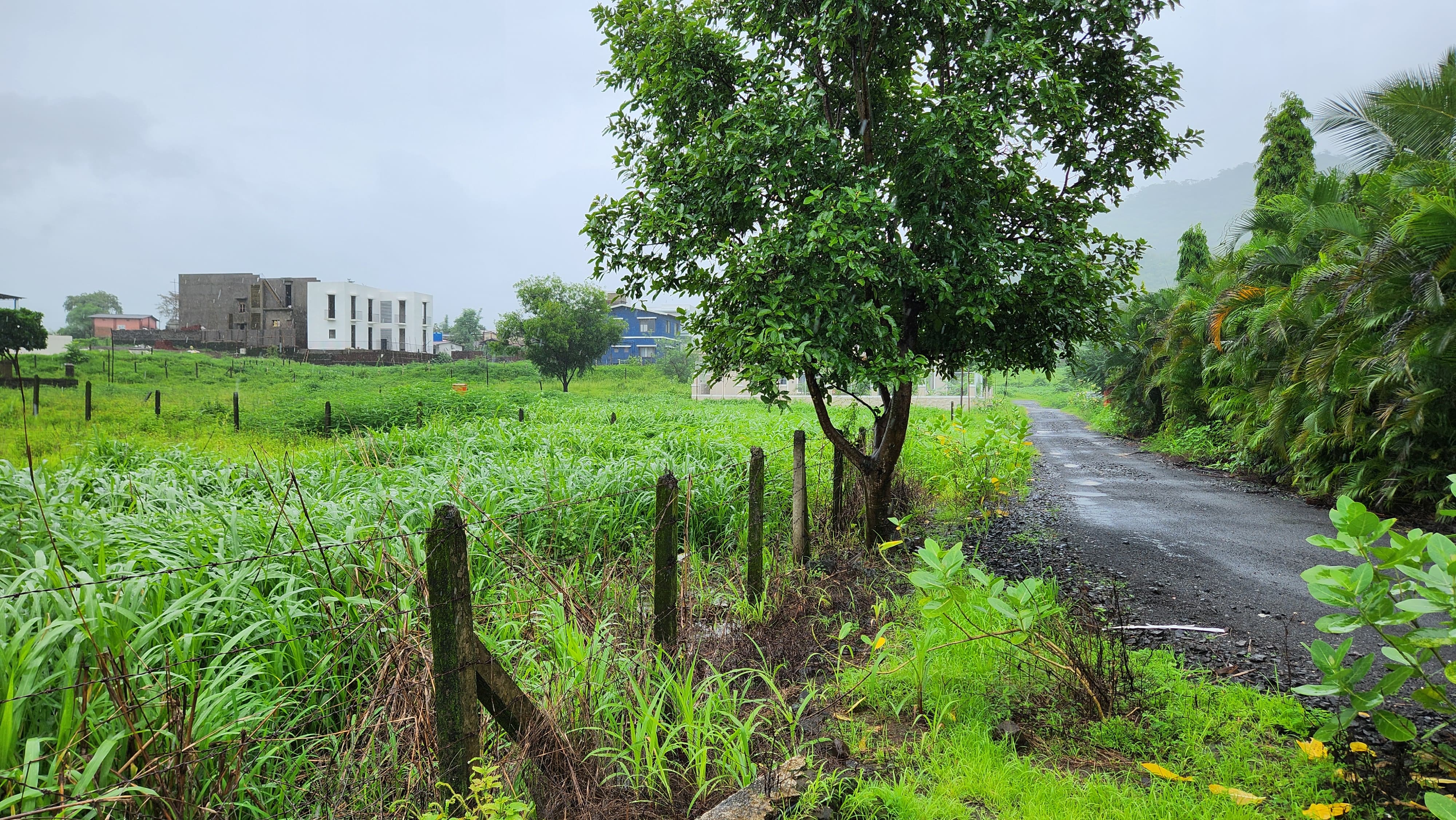 51 guntha agriculture land for sale 10 km from Karjat.