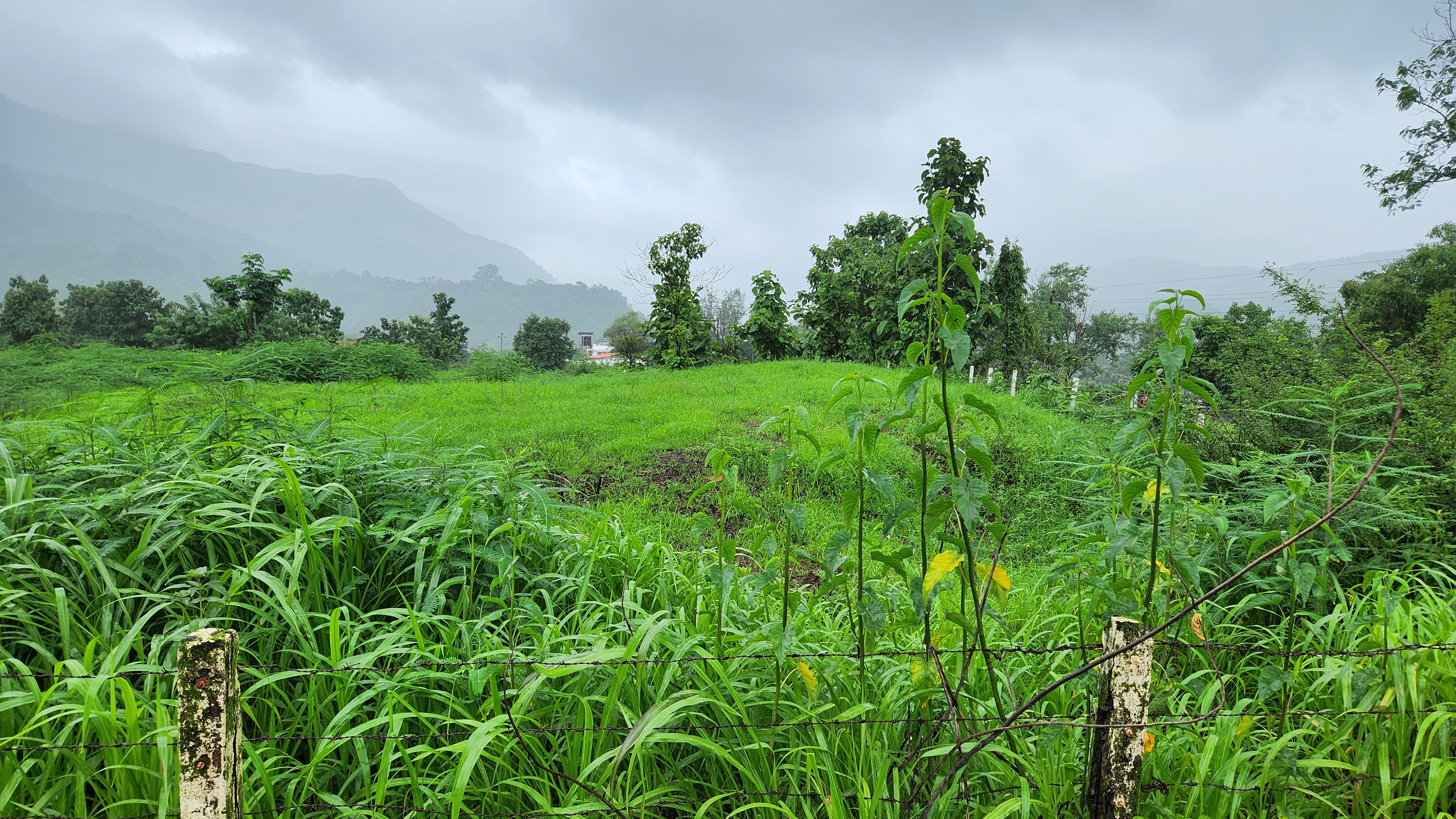 62 guntha agriculture land for sale 10 km from Karjat.