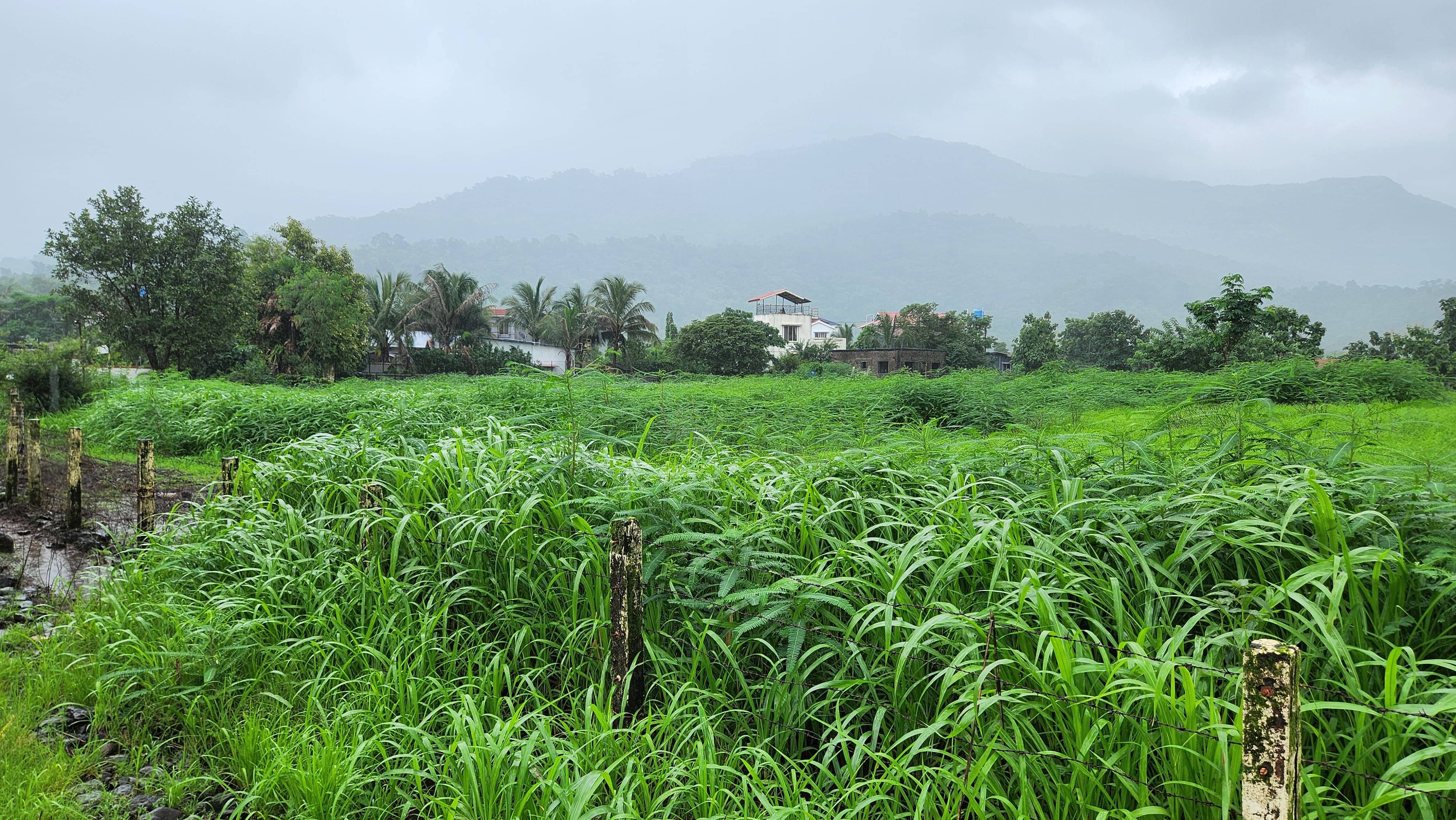 62 guntha agriculture land for sale 10 km from Karjat.