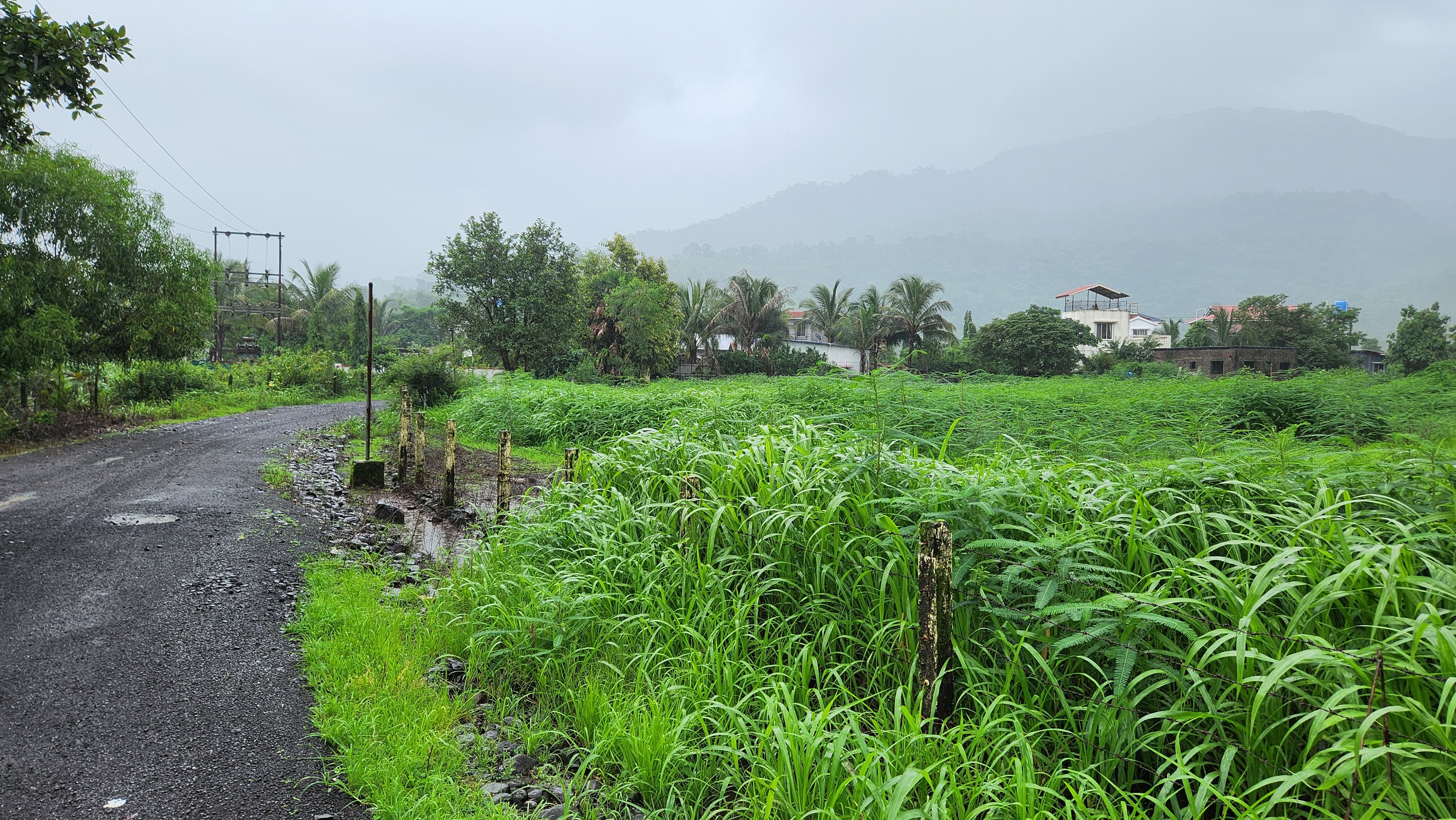 62 guntha agriculture land for sale 10 km from Karjat.