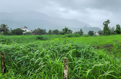 62 guntha agriculture land for sale 10 km from Karjat.