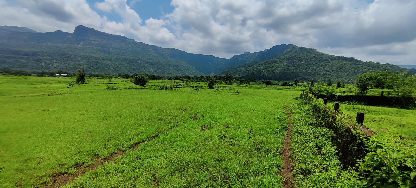 Waterfall & Mountain View 7 Acre Land For Sale Next to RADDISON BLU Resort Karjat.