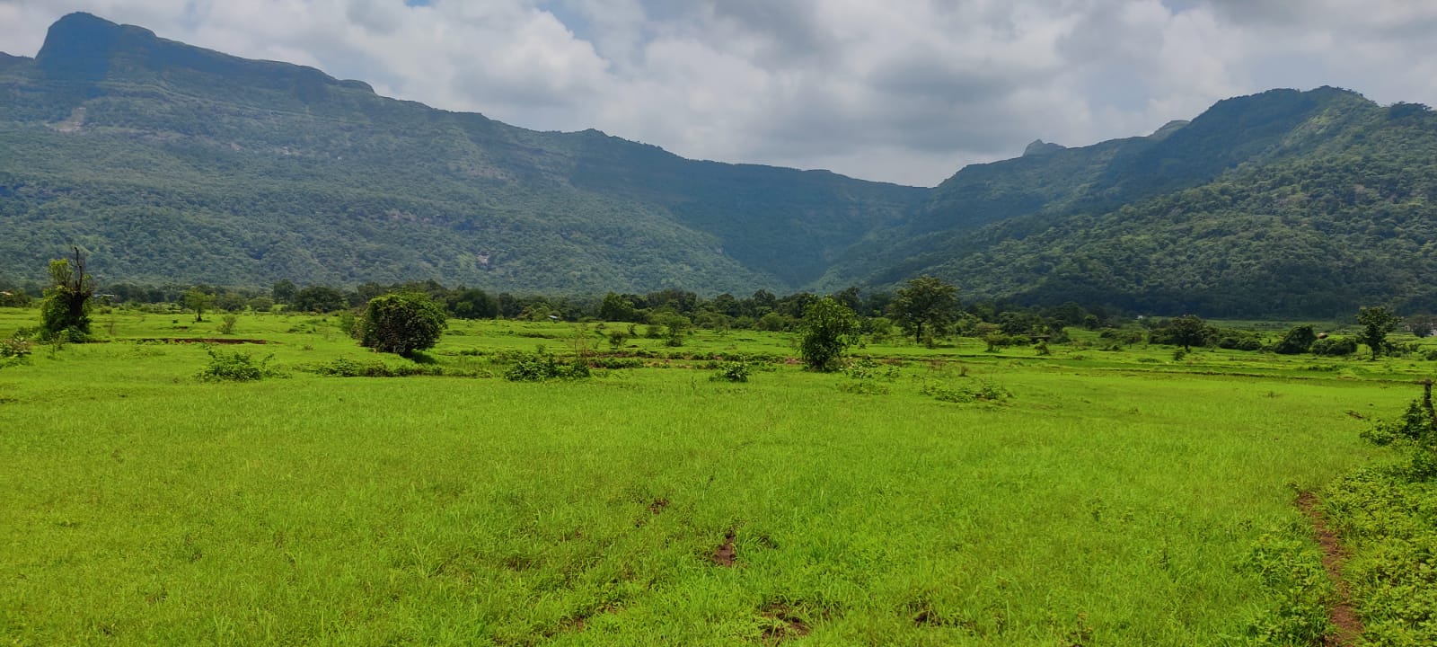 Waterfall & Mountain View 7 Acre Land For Sale Next to RADDISON BLU Resort Karjat.