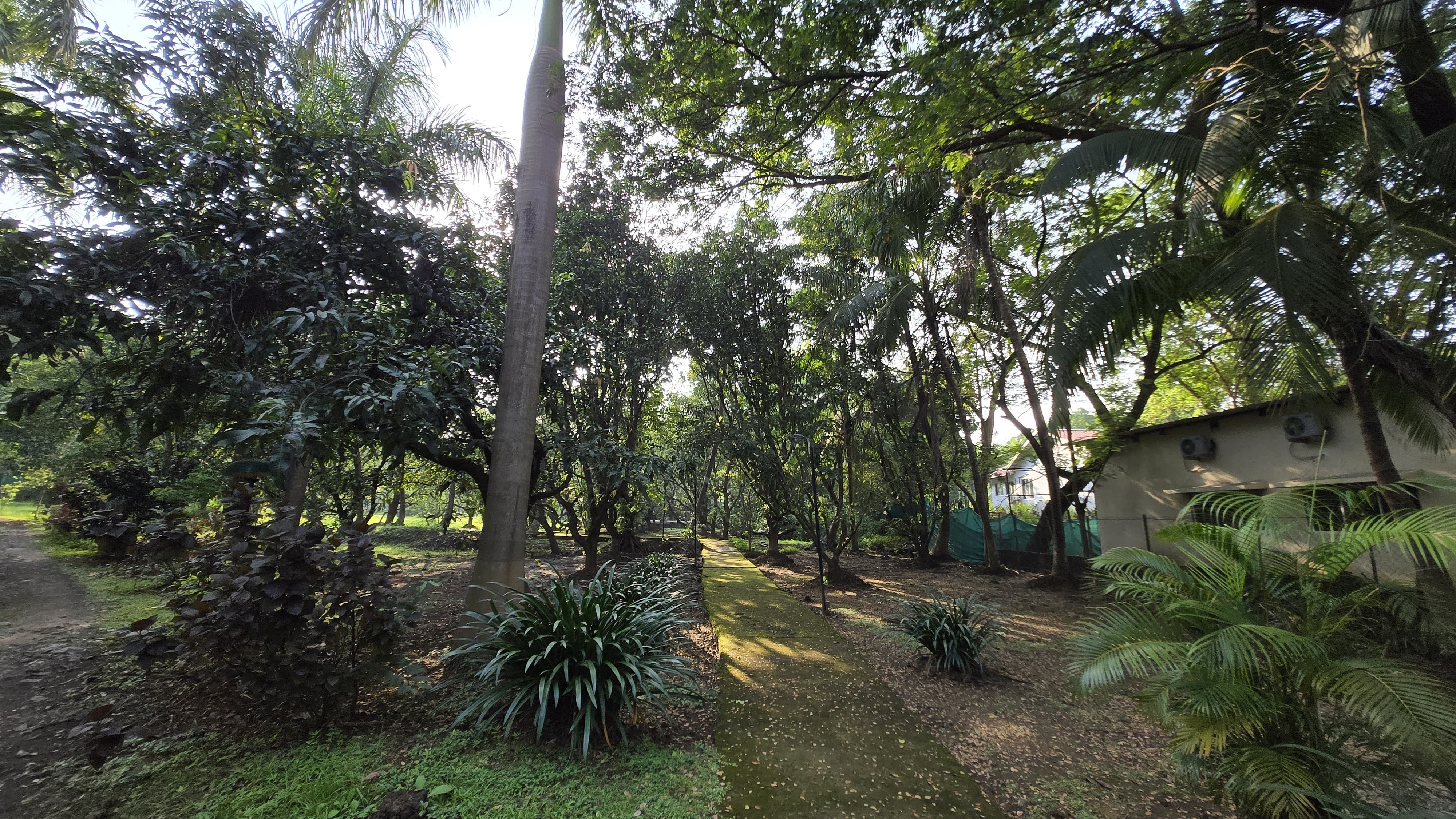 Canal touch 5 Acre Farmhouse for sale just 5km from Karjat.